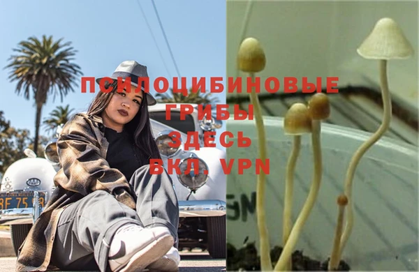 героин Белоозёрский