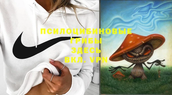 Альфа ПВП Балахна