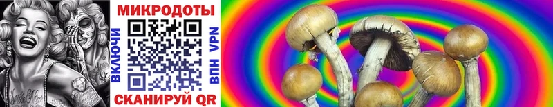 Галлюциногенные грибы Psilocybe  наркота  hydra рабочий сайт  Семилуки 
